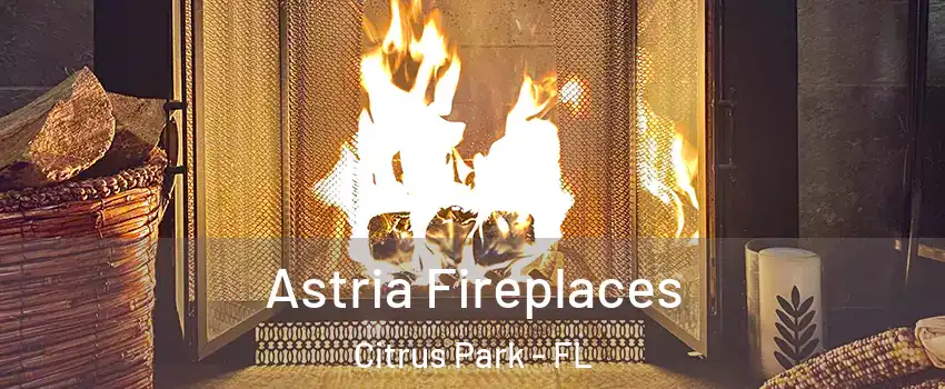  Astria Fireplaces Citrus Park - FL