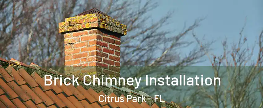  Brick Chimney Installation Citrus Park - FL