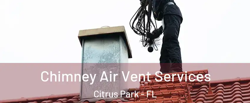  Chimney Air Vent Services Citrus Park - FL