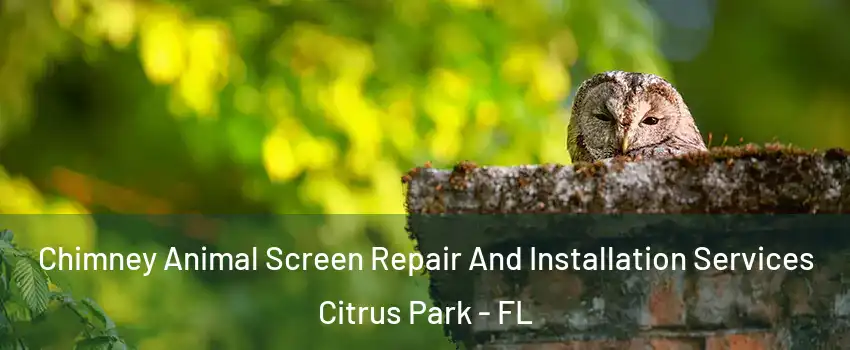  Chimney Animal Screen Repair And Installation Services Citrus Park - FL