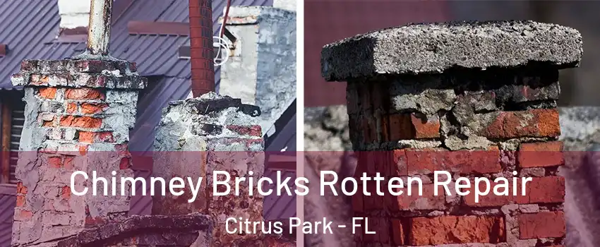  Chimney Bricks Rotten Repair Citrus Park - FL