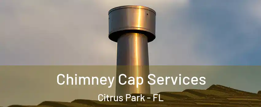  Chimney Cap Services Citrus Park - FL