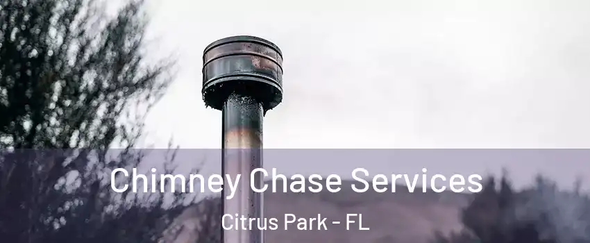  Chimney Chase Services Citrus Park - FL