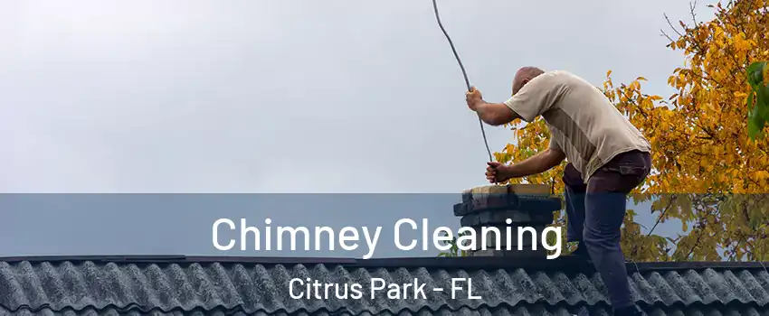  Chimney Cleaning Citrus Park - FL