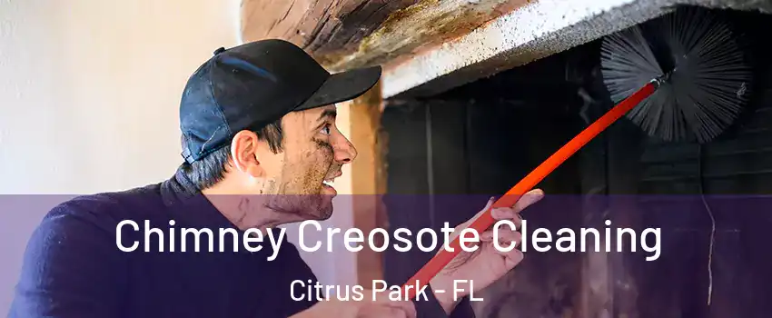 Chimney Creosote Cleaning Citrus Park - FL