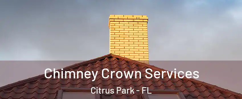  Chimney Crown Services Citrus Park - FL