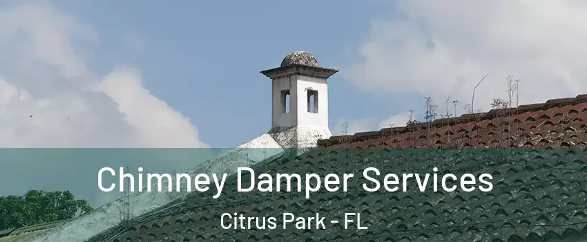  Chimney Damper Services Citrus Park - FL