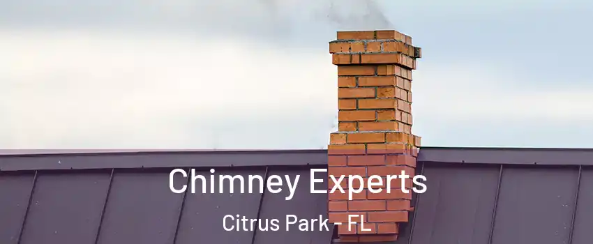  Chimney Experts Citrus Park - FL