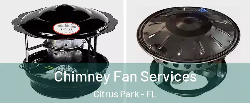  Chimney Fan Services Citrus Park - FL