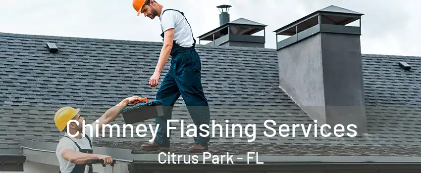  Chimney Flashing Services Citrus Park - FL