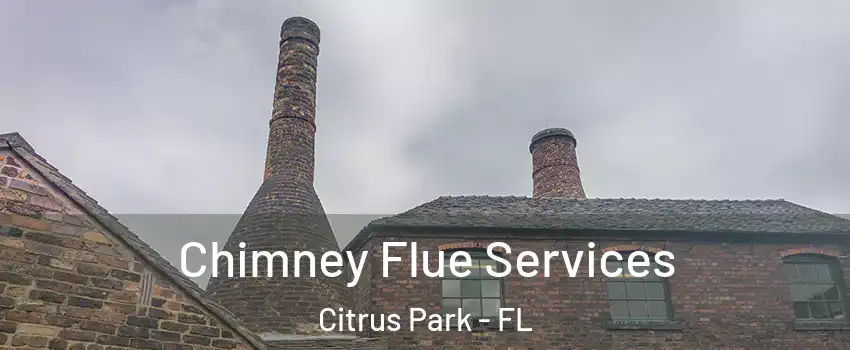  Chimney Flue Services Citrus Park - FL