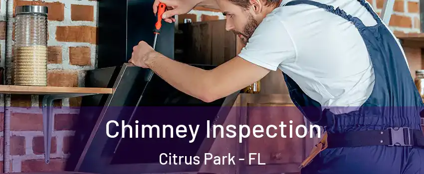  Chimney Inspection Citrus Park - FL