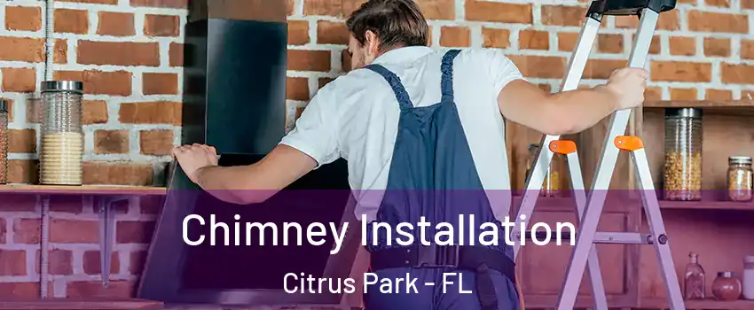  Chimney Installation Citrus Park - FL