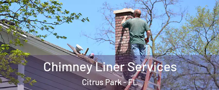  Chimney Liner Services Citrus Park - FL