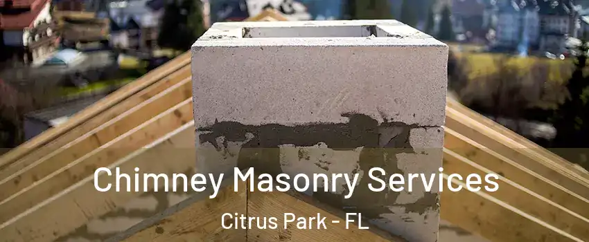  Chimney Masonry Services Citrus Park - FL