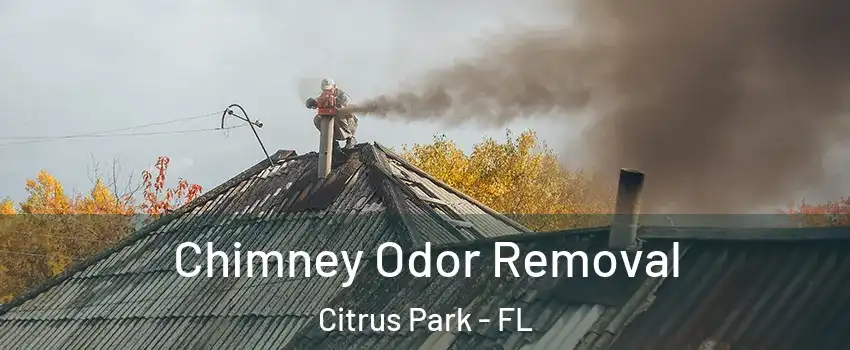  Chimney Odor Removal Citrus Park - FL