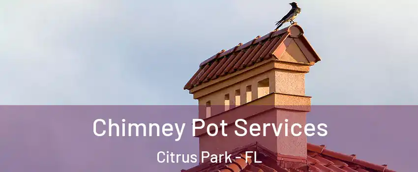  Chimney Pot Services Citrus Park - FL