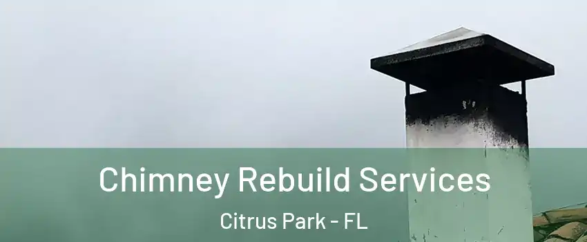  Chimney Rebuild Services Citrus Park - FL