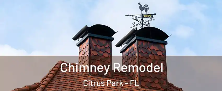  Chimney Remodel Citrus Park - FL