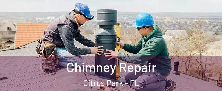  Chimney Repair Citrus Park - FL