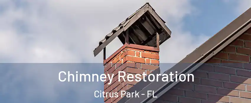  Chimney Restoration Citrus Park - FL