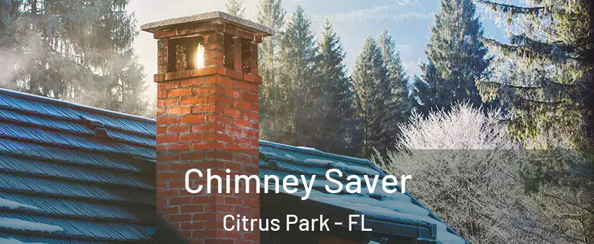  Chimney Saver Citrus Park - FL