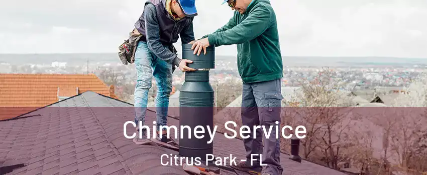  Chimney Service Citrus Park - FL