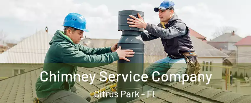  Chimney Service Company Citrus Park - FL