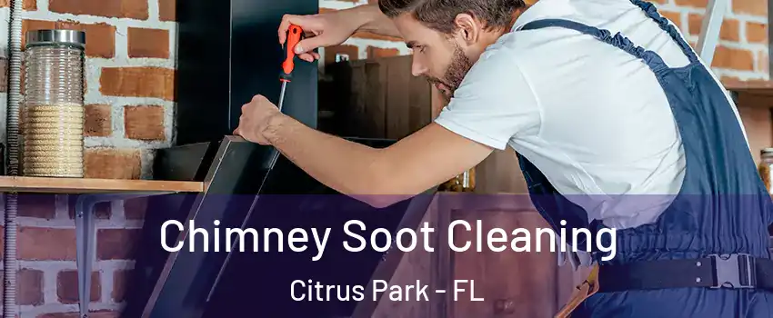  Chimney Soot Cleaning Citrus Park - FL