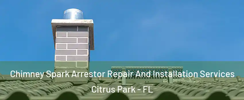  Chimney Spark Arrestor Repair And Installation Services Citrus Park - FL