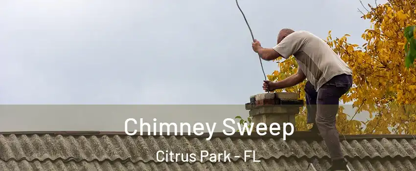  Chimney Sweep Citrus Park - FL