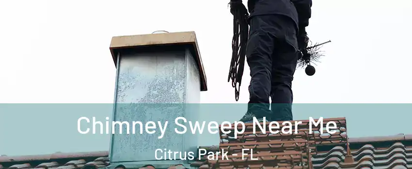  Chimney Sweep Near Me Citrus Park - FL