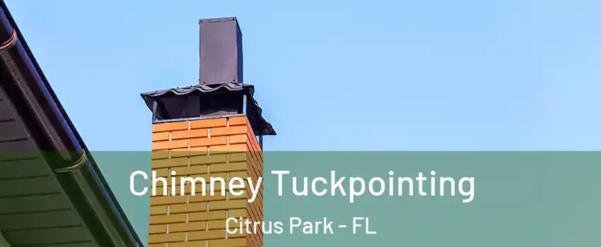  Chimney Tuckpointing Citrus Park - FL