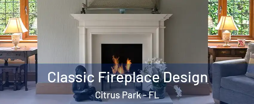  Classic Fireplace Design Citrus Park - FL