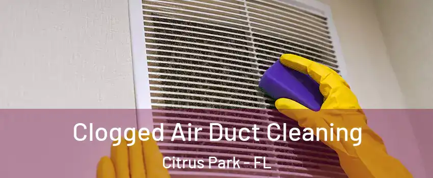  Clogged Air Duct Cleaning Citrus Park - FL