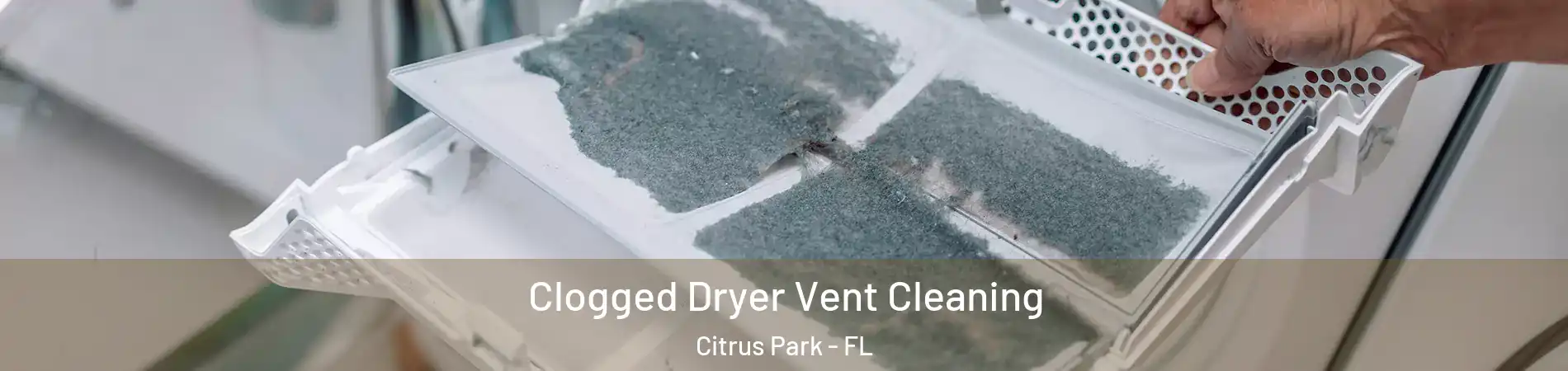  Clogged Dryer Vent Cleaning Citrus Park - FL