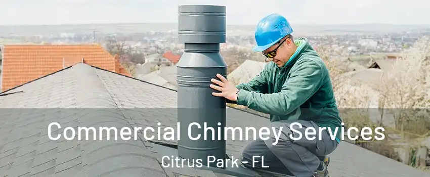  Commercial Chimney Services Citrus Park - FL