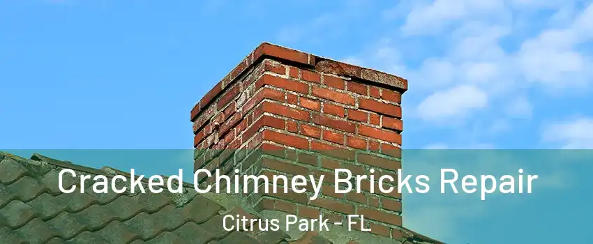  Cracked Chimney Bricks Repair Citrus Park - FL