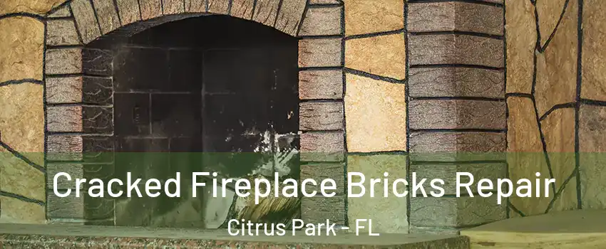  Cracked Fireplace Bricks Repair Citrus Park - FL