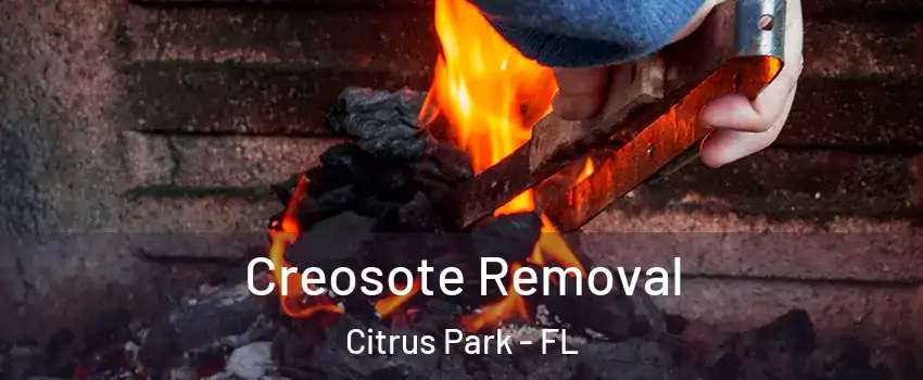  Creosote Removal Citrus Park - FL