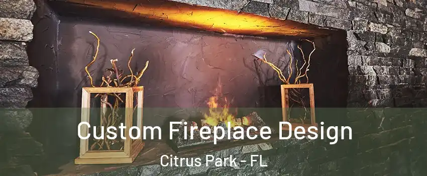 Custom Fireplace Design Citrus Park - FL