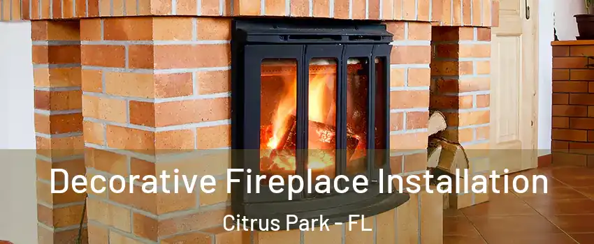  Decorative Fireplace Installation Citrus Park - FL