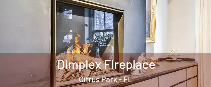  Dimplex Fireplace Citrus Park - FL
