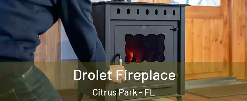  Drolet Fireplace Citrus Park - FL