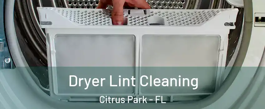  Dryer Lint Cleaning Citrus Park - FL