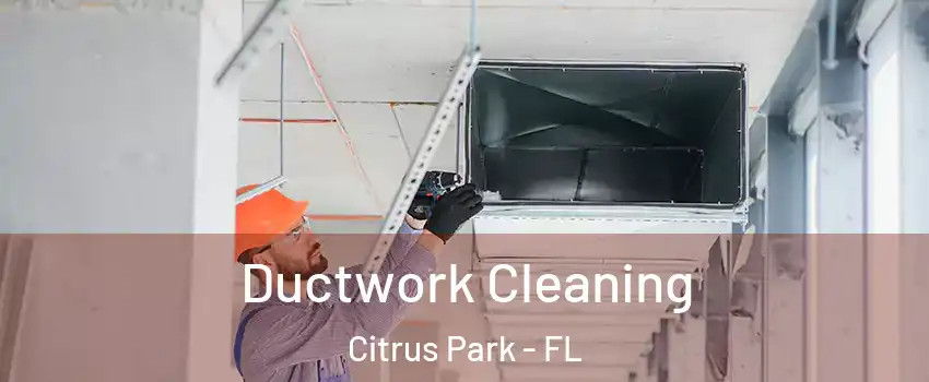  Ductwork Cleaning Citrus Park - FL