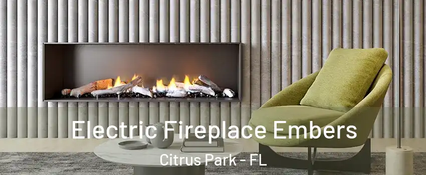  Electric Fireplace Embers Citrus Park - FL