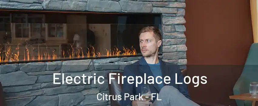  Electric Fireplace Logs Citrus Park - FL