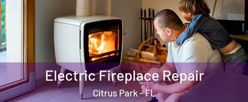  Electric Fireplace Repair Citrus Park - FL