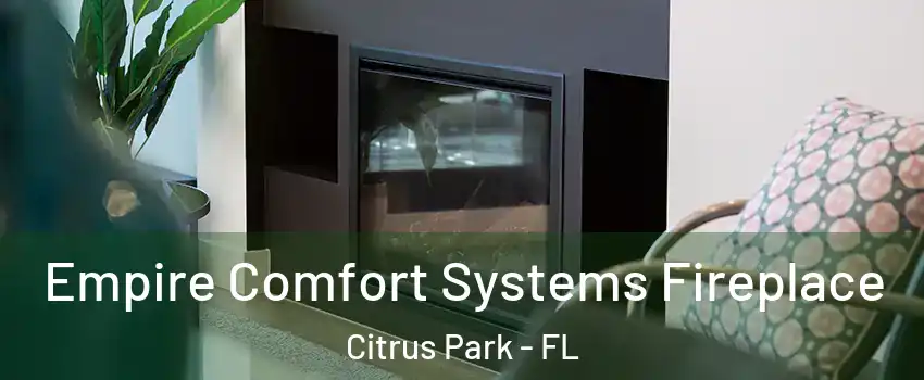  Empire Comfort Systems Fireplace Citrus Park - FL